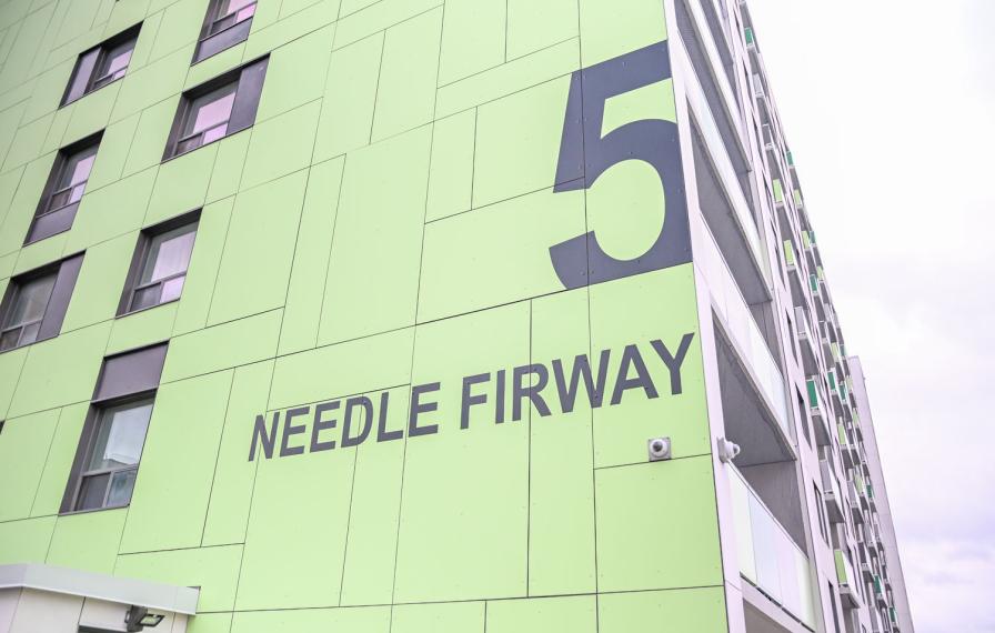 5 Needle Firway