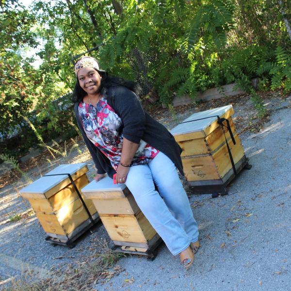 Person by bee hives