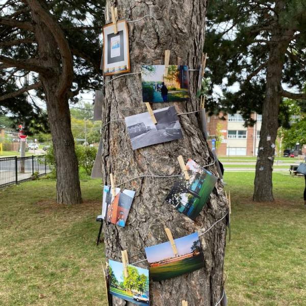 Photos are pinned to string, wrapped around a tree.