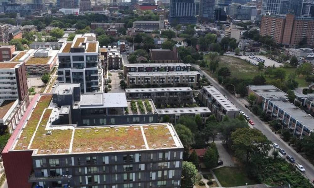 Aerial view of the green roof on 525 Dundas St. East building