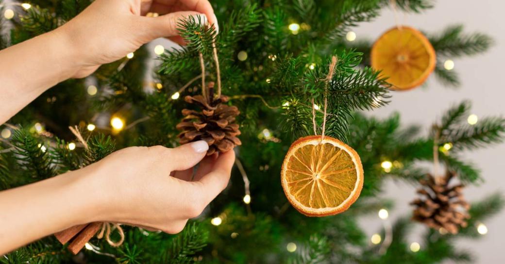 A person hanging a pine cone and orange slices as ornaments on a Christmas tree.